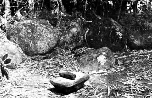 megalitik dan pipisan