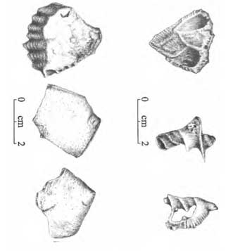 Kawasan Karst Tuban: Salah Satu Sisa Kehidupan Manusia Masa Lalu
