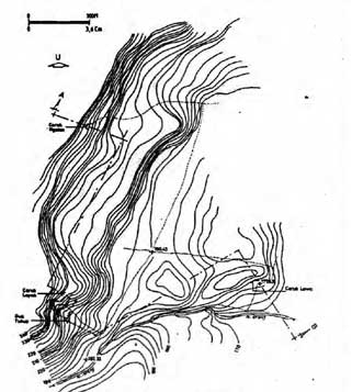 Pola Komunitas Gua Di Sampung, Ponorogo 