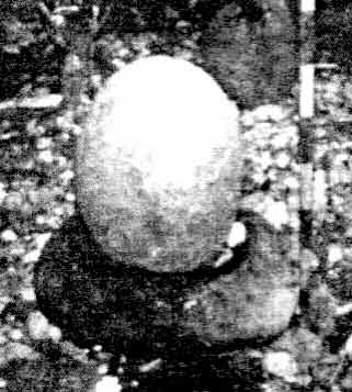 Hinduisasi Di Kawasan Megalitik Gunung Slamet 